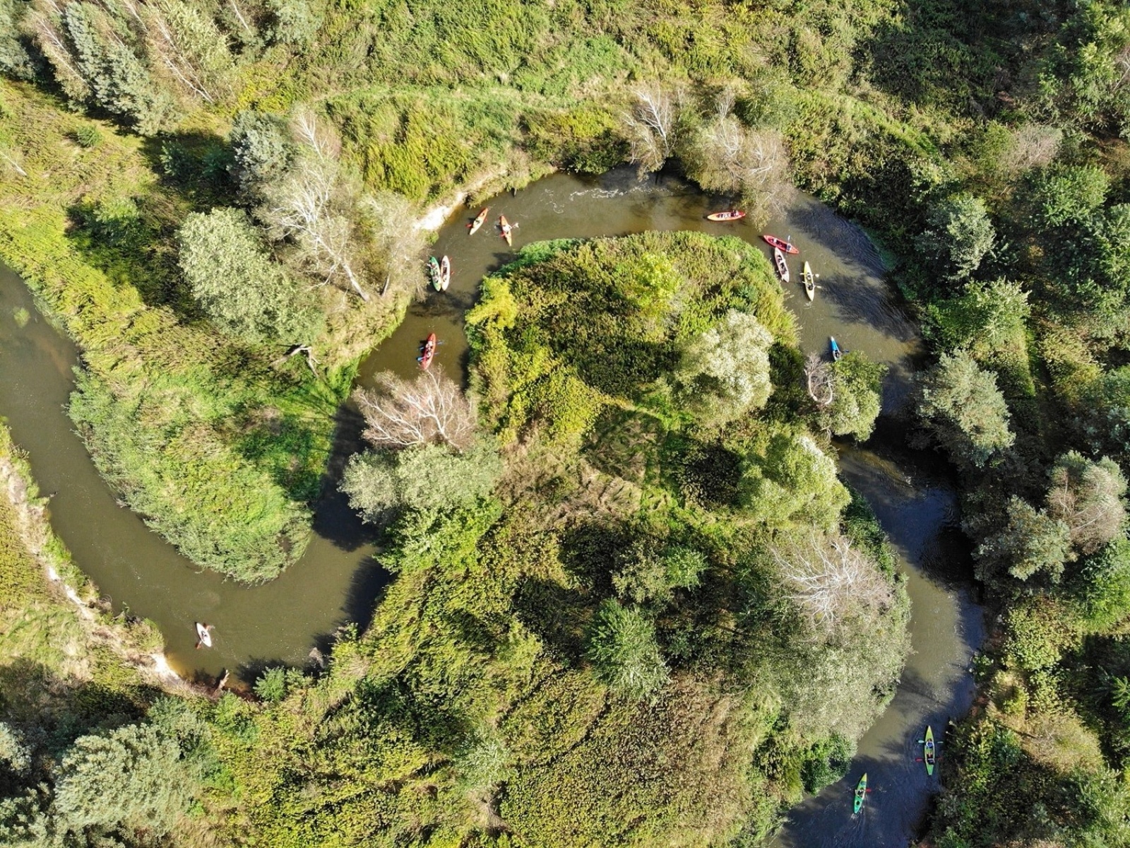 Zdjęcie w galerii na portalu naszraciborz.pl: Wielkie sprzątanie rzeki Rudy przy wsparciu PGE GiEK  wiadomości z regionu