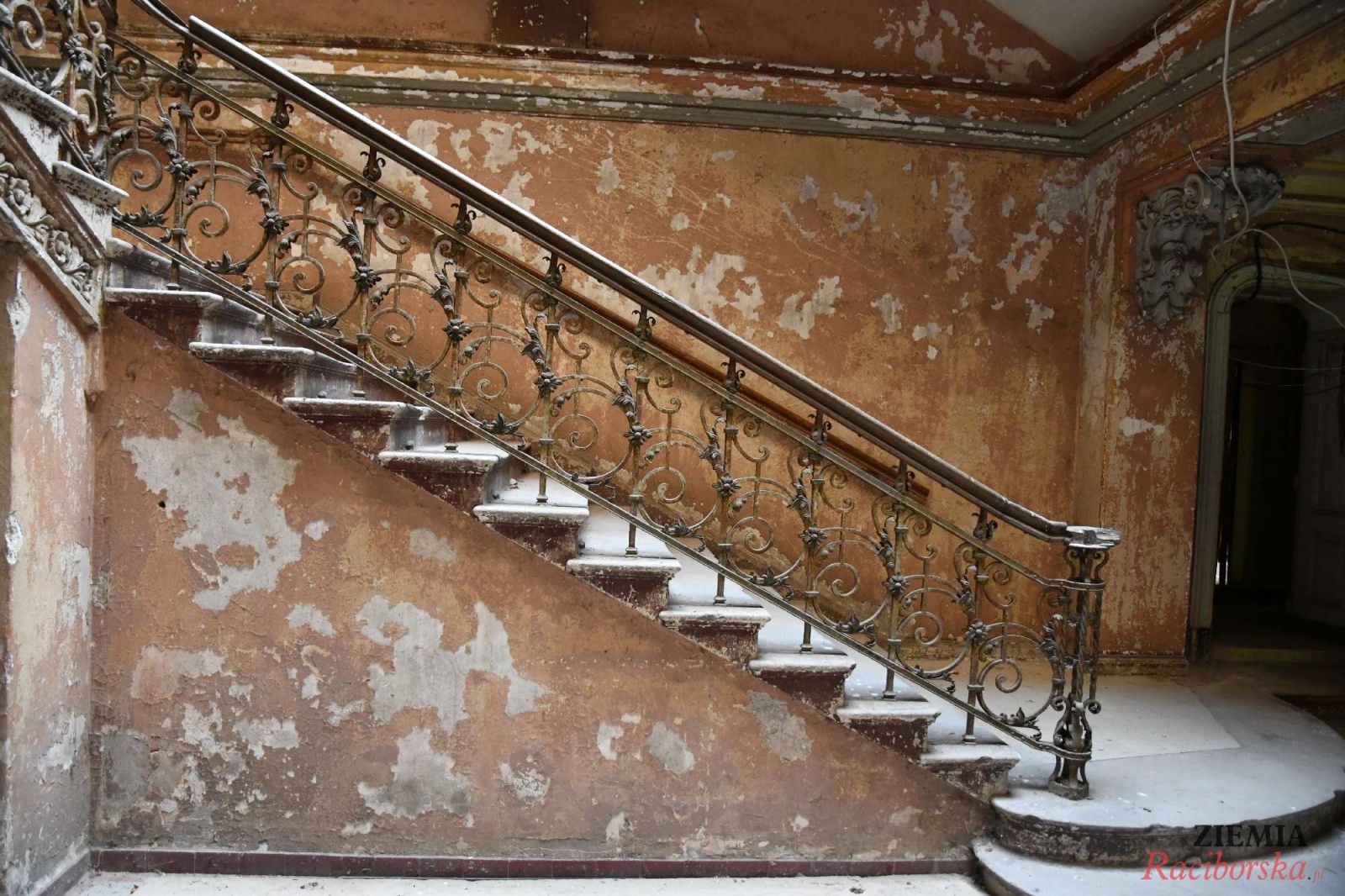 Zdjęcie w galerii na portalu naszraciborz.pl: Pałac w Krowiarkach wciąż skrywa wiele tajemnic [FOTO i WIDEO] wiadomości z regionu