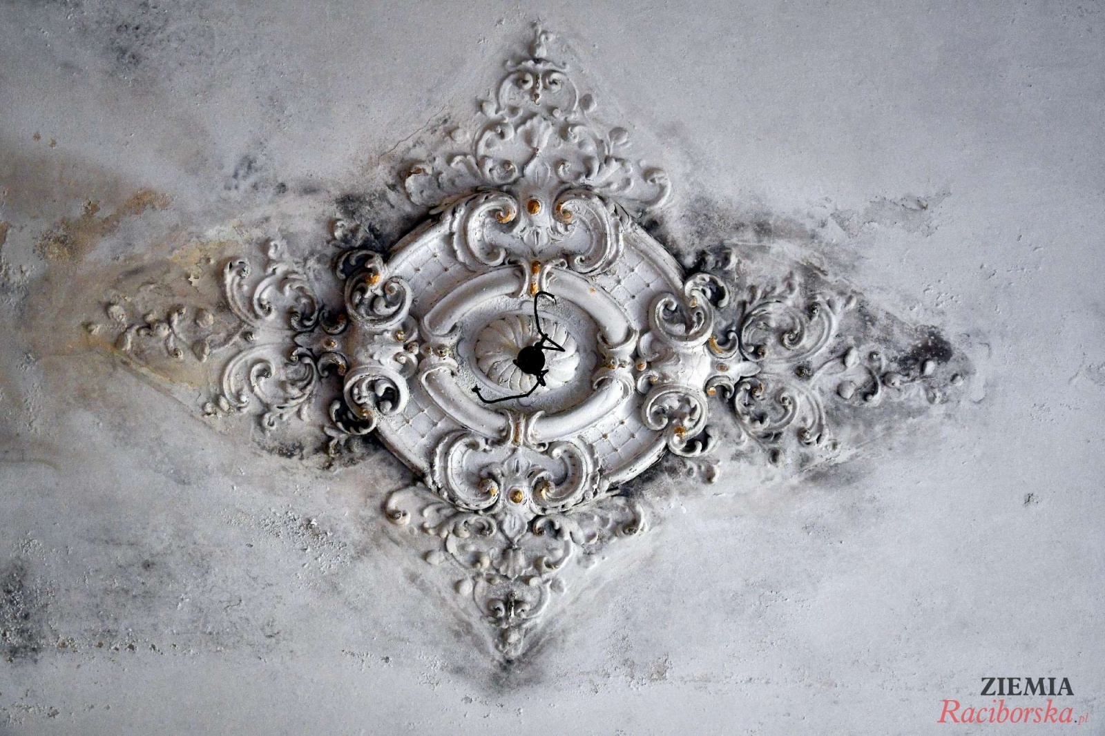 Zdjęcie w galerii na portalu naszraciborz.pl: Pałac w Krowiarkach wciąż skrywa wiele tajemnic [FOTO i WIDEO] wiadomości z regionu