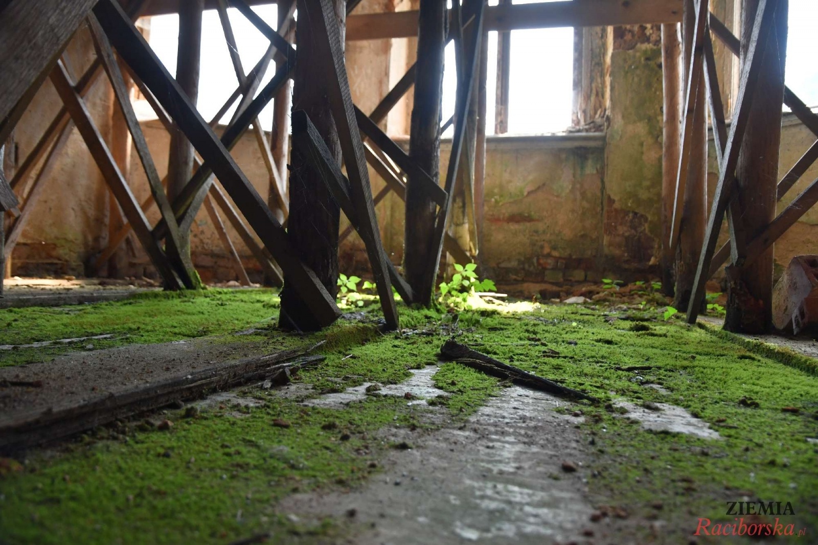 Zdjęcie w galerii na portalu naszraciborz.pl: Pałac w Krowiarkach wciąż skrywa wiele tajemnic [FOTO i WIDEO] wiadomości z regionu