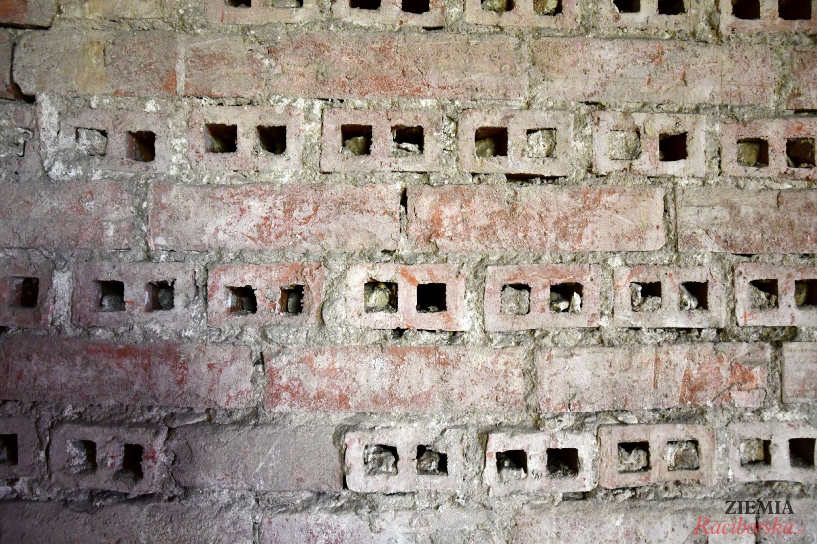 Zdjęcie w galerii na portalu naszraciborz.pl: Pałac w Krowiarkach wciąż skrywa wiele tajemnic [FOTO i WIDEO] wiadomości z regionu