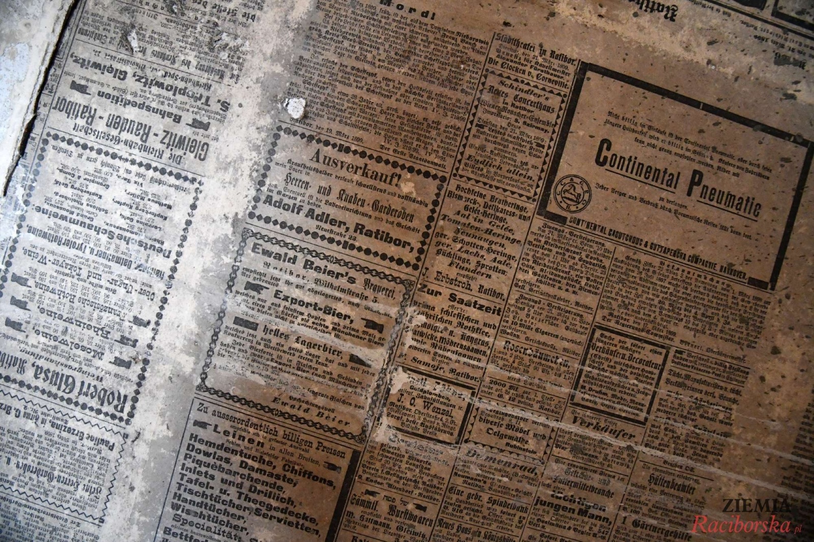 Zdjęcie w galerii na portalu naszraciborz.pl: Pałac w Krowiarkach wciąż skrywa wiele tajemnic [FOTO i WIDEO] wiadomości z regionu