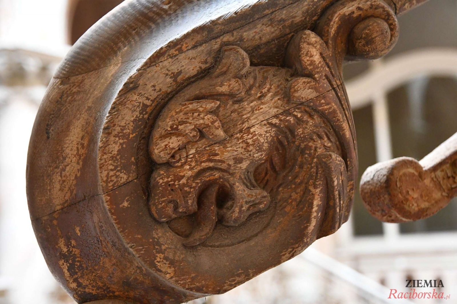 Zdjęcie w galerii na portalu naszraciborz.pl: Pałac w Krowiarkach wciąż skrywa wiele tajemnic [FOTO i WIDEO] wiadomości z regionu