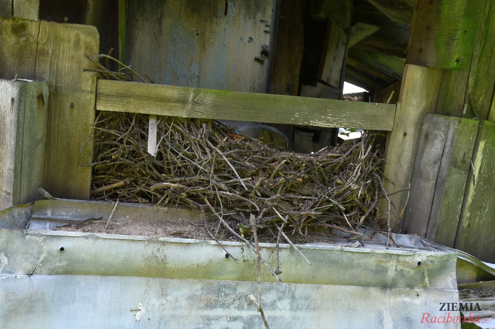 Zdjęcie w galerii na portalu naszraciborz.pl: Pałac w Krowiarkach wciąż skrywa wiele tajemnic [FOTO i WIDEO] wiadomości z regionu