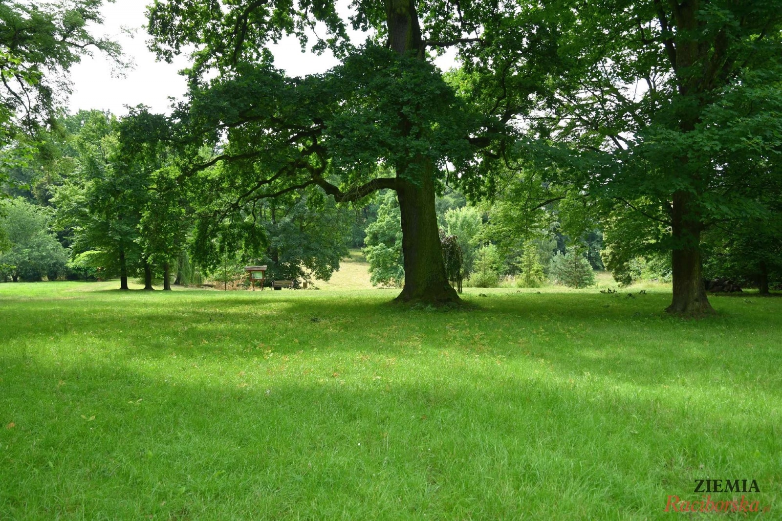 Zdjęcie w galerii na portalu naszraciborz.pl: Pałac w Krowiarkach wciąż skrywa wiele tajemnic [FOTO i WIDEO] wiadomości z regionu