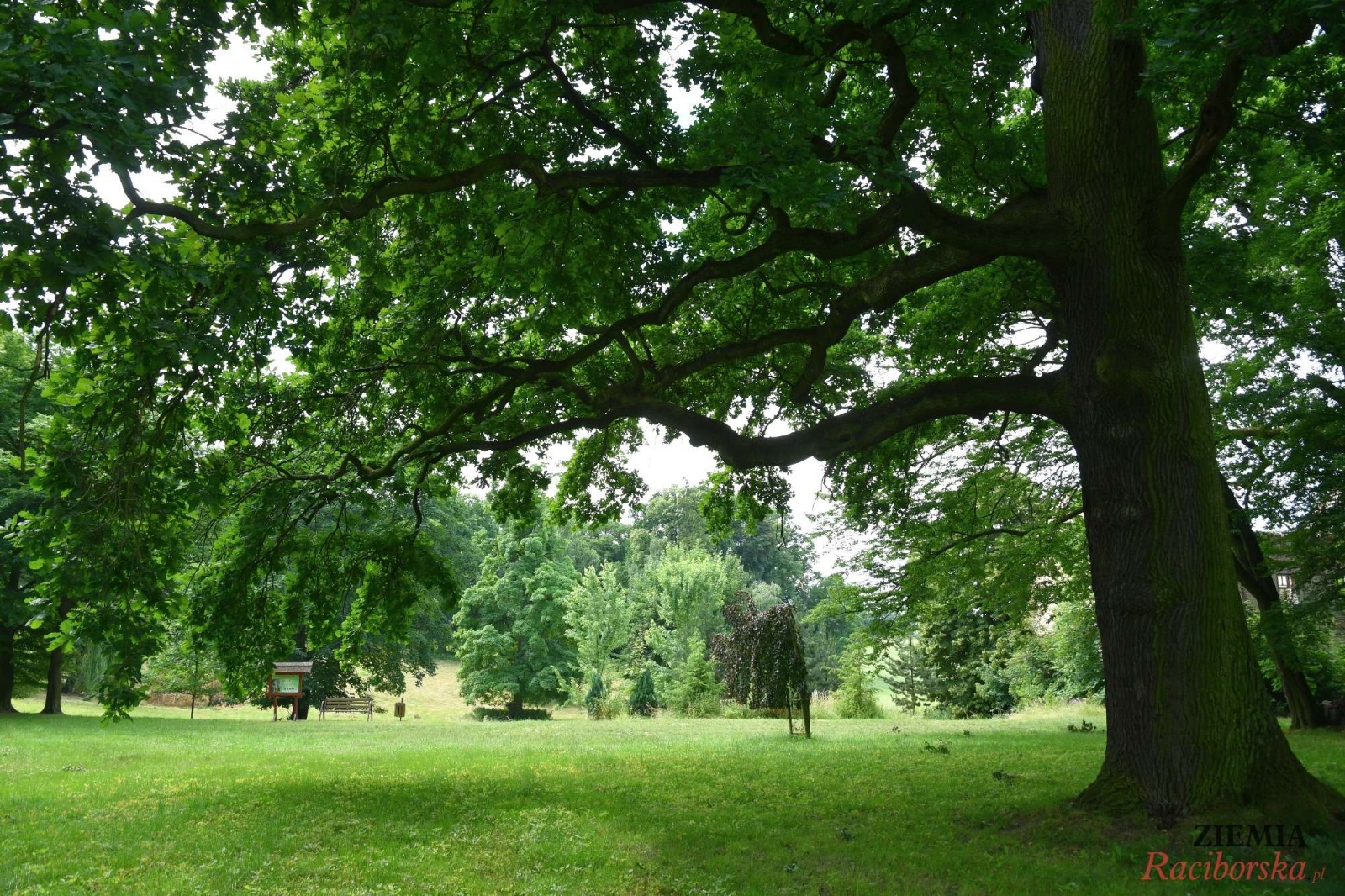 Zdjęcie w galerii na portalu naszraciborz.pl: Pałac w Krowiarkach wciąż skrywa wiele tajemnic [FOTO i WIDEO] wiadomości z regionu