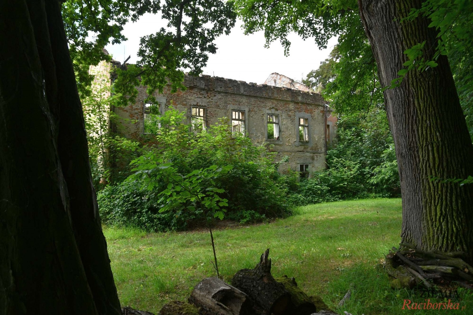 Zdjęcie w galerii na portalu naszraciborz.pl: Pałac w Krowiarkach wciąż skrywa wiele tajemnic [FOTO i WIDEO] wiadomości z regionu