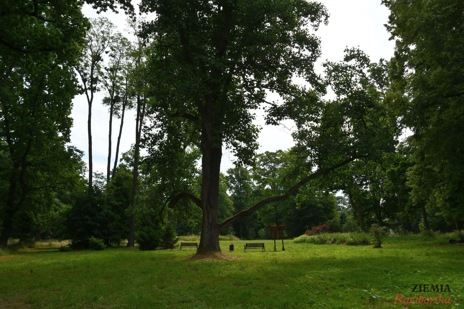 Zdjęcie w galerii na portalu naszraciborz.pl: Pałac w Krowiarkach wciąż skrywa wiele tajemnic [FOTO i WIDEO] wiadomości z regionu
