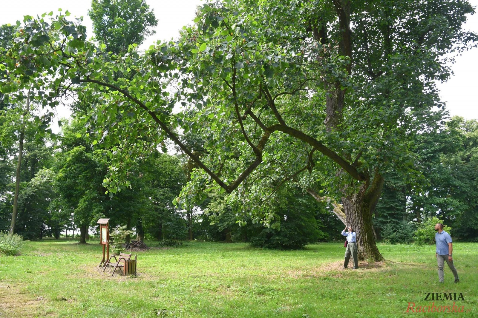 Zdjęcie w galerii na portalu naszraciborz.pl: Pałac w Krowiarkach wciąż skrywa wiele tajemnic [FOTO i WIDEO] wiadomości z regionu