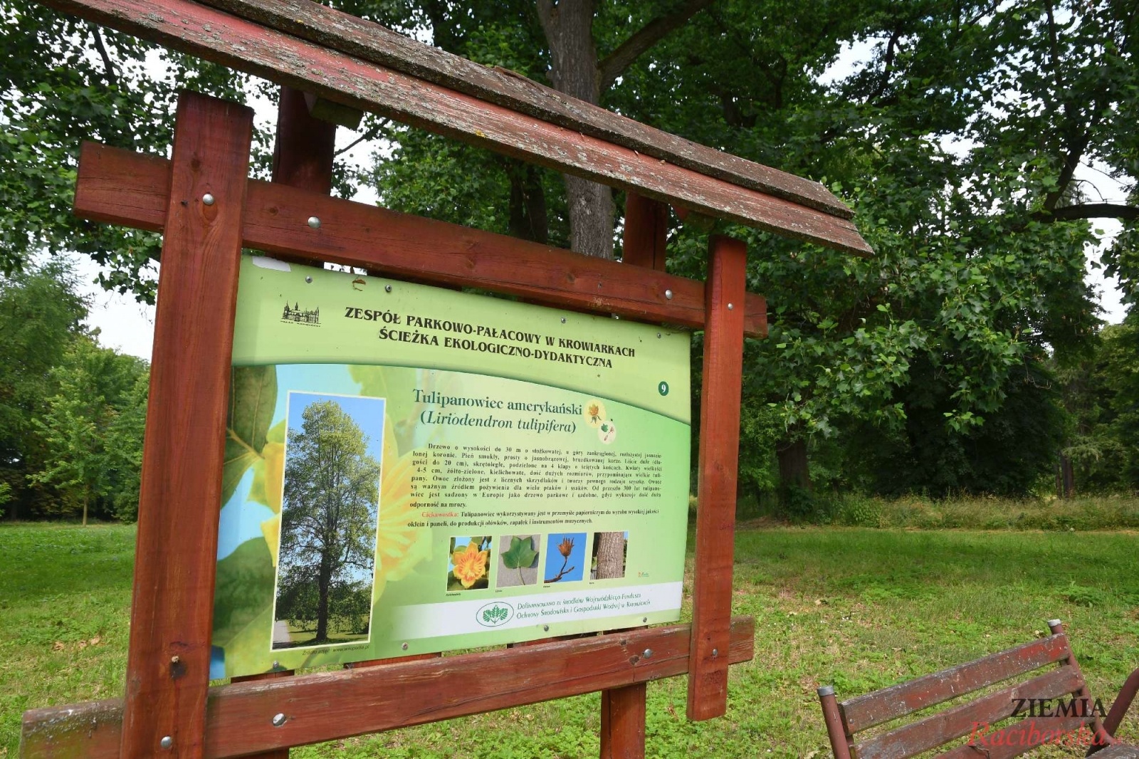 Zdjęcie w galerii na portalu naszraciborz.pl: Pałac w Krowiarkach wciąż skrywa wiele tajemnic [FOTO i WIDEO] wiadomości z regionu