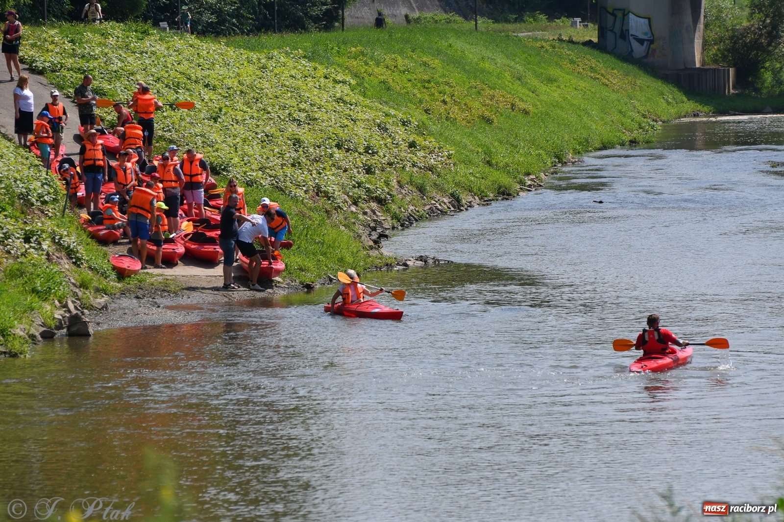 Zdjęcie w galerii na portalu naszraciborz.pl: Na te atrakcje OSiR-u nie brakuje chętnych wiadomości z regionu