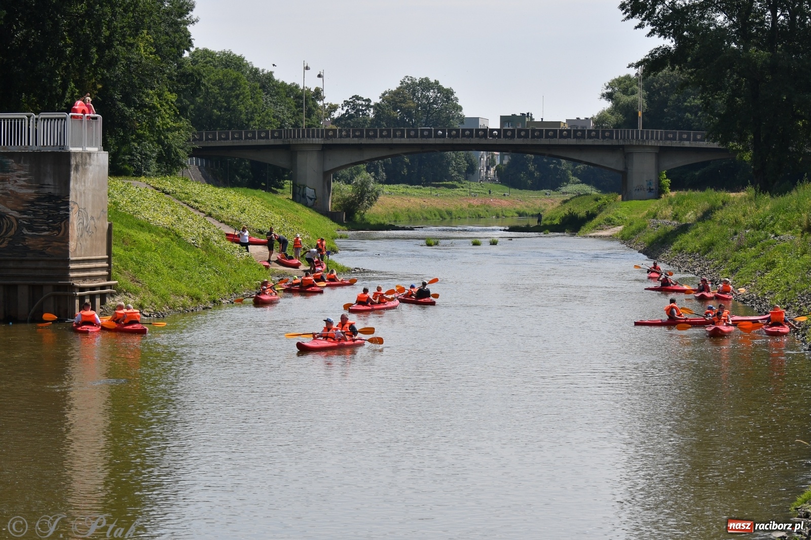 Zdjęcie w galerii na portalu naszraciborz.pl: Na te atrakcje OSiR-u nie brakuje chętnych wiadomości z regionu