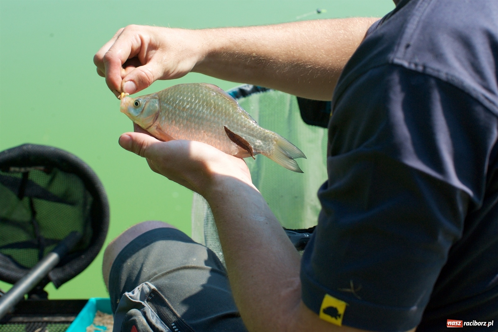 Zdjęcie w galerii na portalu naszraciborz.pl: Teresa Śmietana i Waldemar Filip z Pucharem Wójta wiadomości z regionu