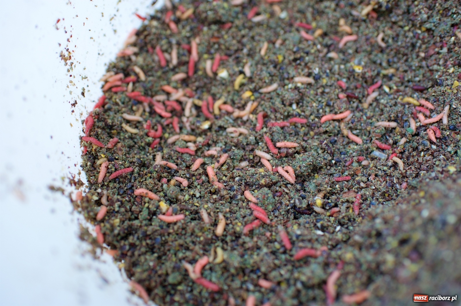 Zdjęcie w galerii na portalu naszraciborz.pl: Teresa Śmietana i Waldemar Filip z Pucharem Wójta wiadomości z regionu