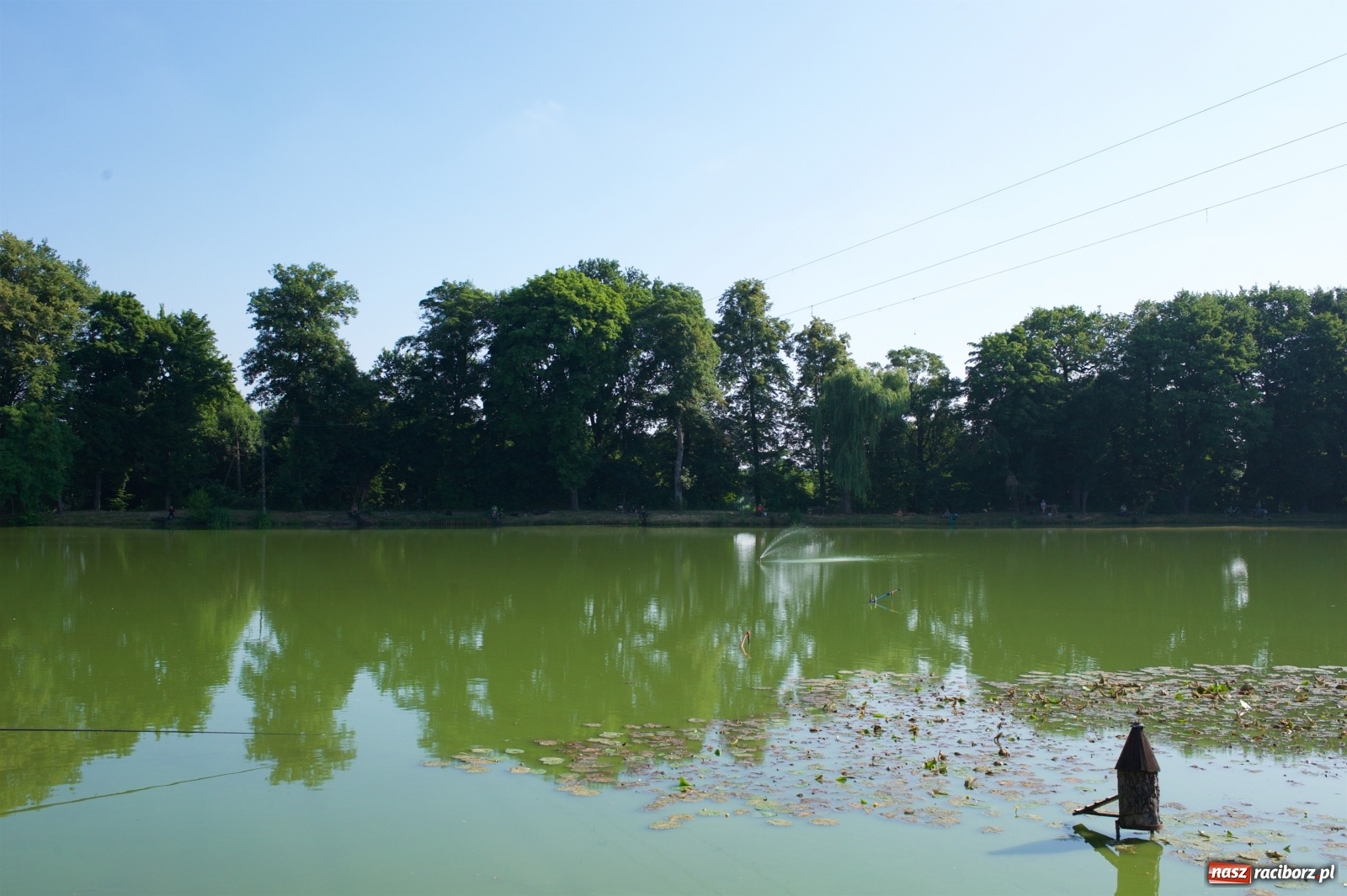 Zdjęcie w galerii na portalu naszraciborz.pl: Teresa Śmietana i Waldemar Filip z Pucharem Wójta wiadomości z regionu