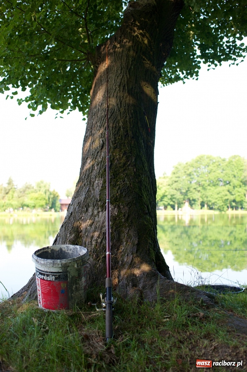Zdjęcie w galerii na portalu naszraciborz.pl: Teresa Śmietana i Waldemar Filip z Pucharem Wójta wiadomości z regionu