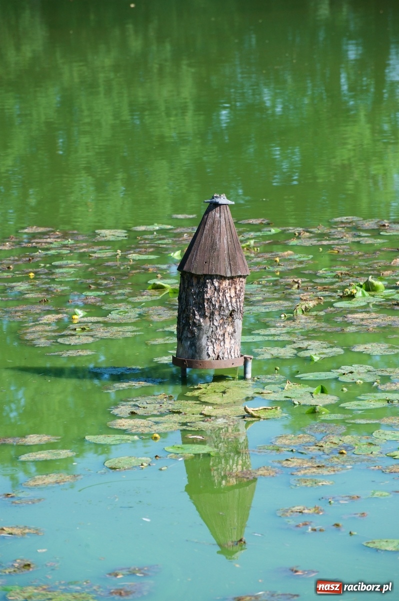 Zdjęcie w galerii na portalu naszraciborz.pl: Teresa Śmietana i Waldemar Filip z Pucharem Wójta wiadomości z regionu