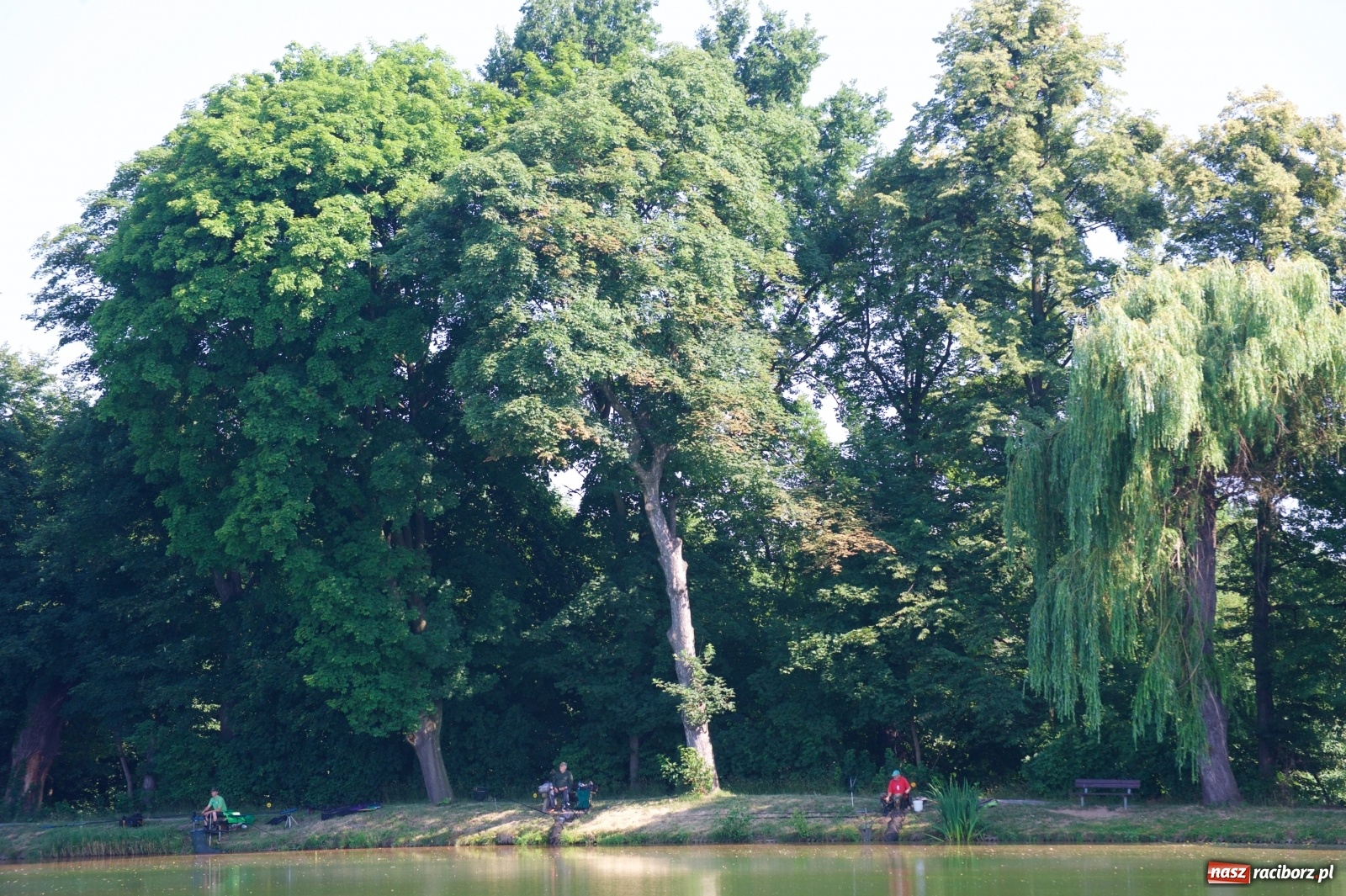 Zdjęcie w galerii na portalu naszraciborz.pl: Teresa Śmietana i Waldemar Filip z Pucharem Wójta wiadomości z regionu