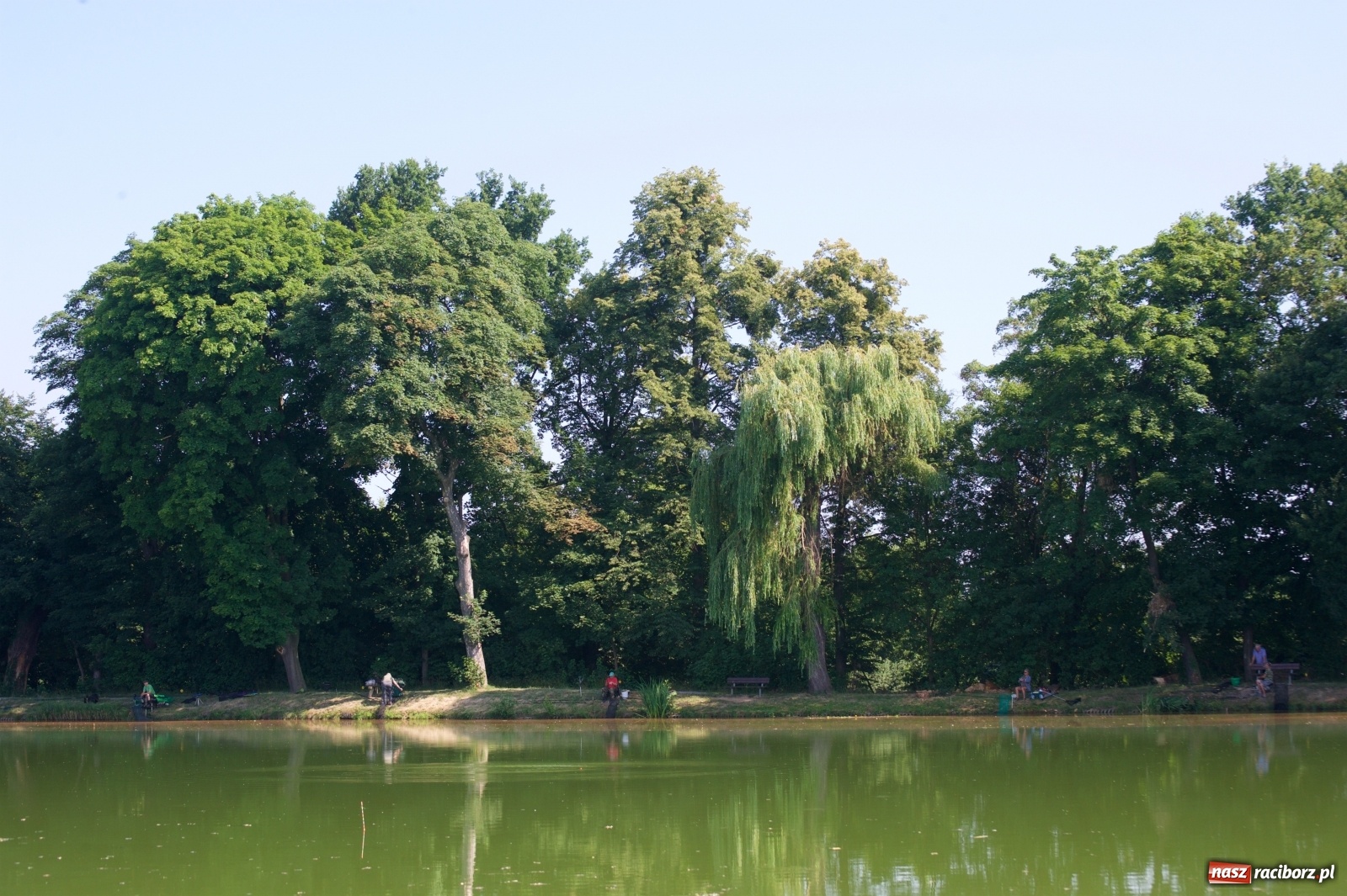 Zdjęcie w galerii na portalu naszraciborz.pl: Teresa Śmietana i Waldemar Filip z Pucharem Wójta wiadomości z regionu