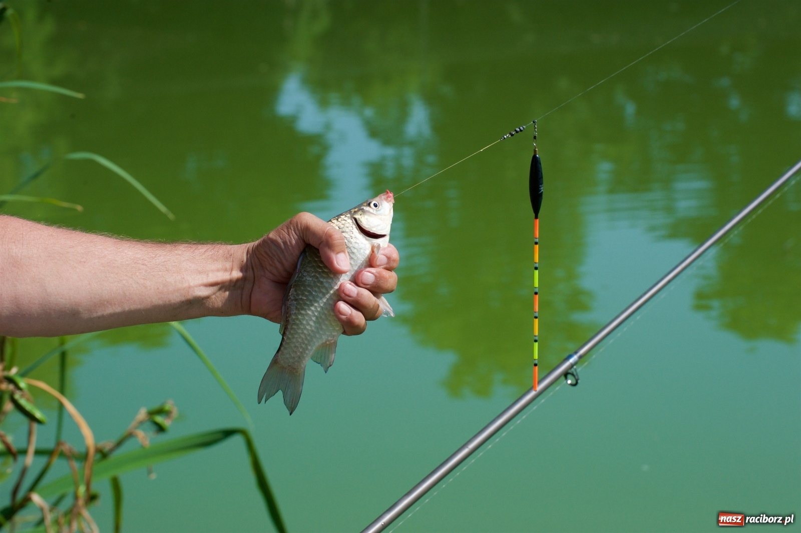 Zdjęcie w galerii na portalu naszraciborz.pl: Teresa Śmietana i Waldemar Filip z Pucharem Wójta wiadomości z regionu