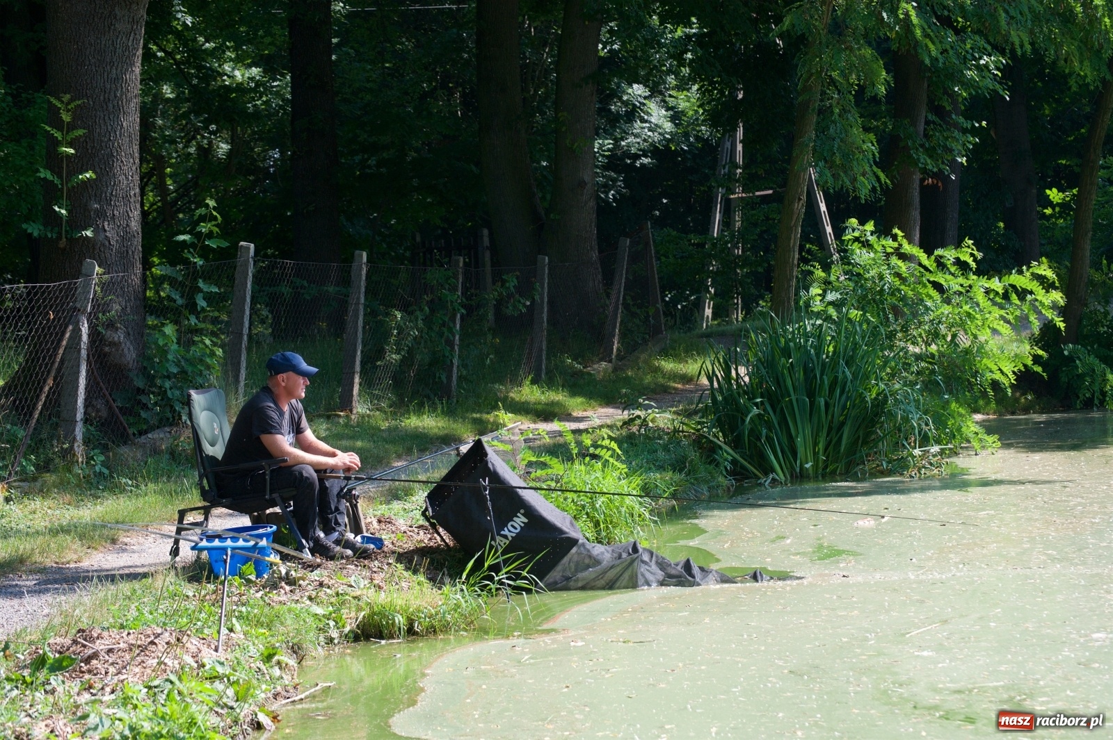 Zdjęcie w galerii na portalu naszraciborz.pl: Teresa Śmietana i Waldemar Filip z Pucharem Wójta wiadomości z regionu