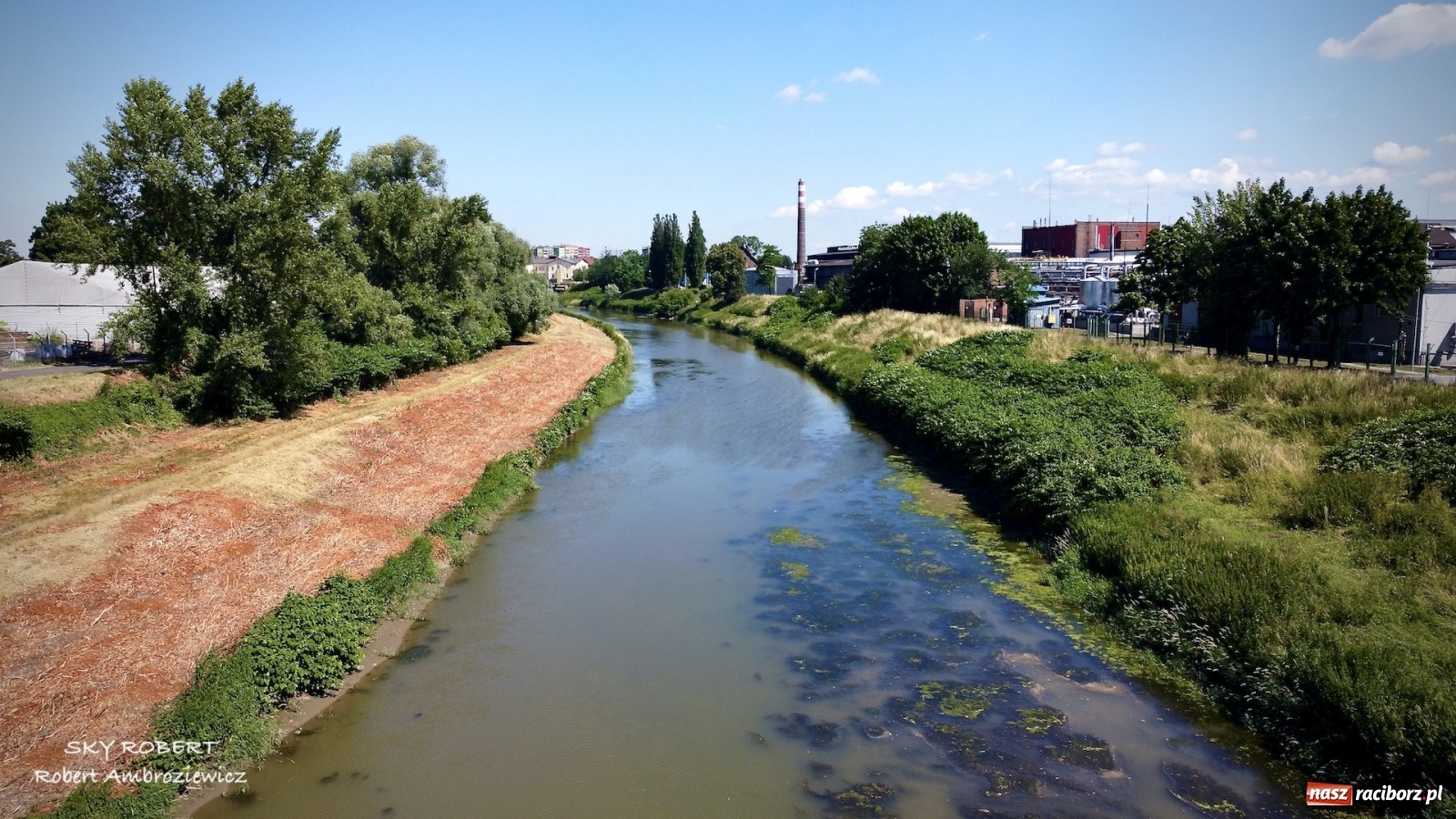 Zdjęcie w galerii na portalu naszraciborz.pl: Dlaczego w starej Odrze jest mało wody. To wideo pokazuje w czym problem wiadomości z regionu