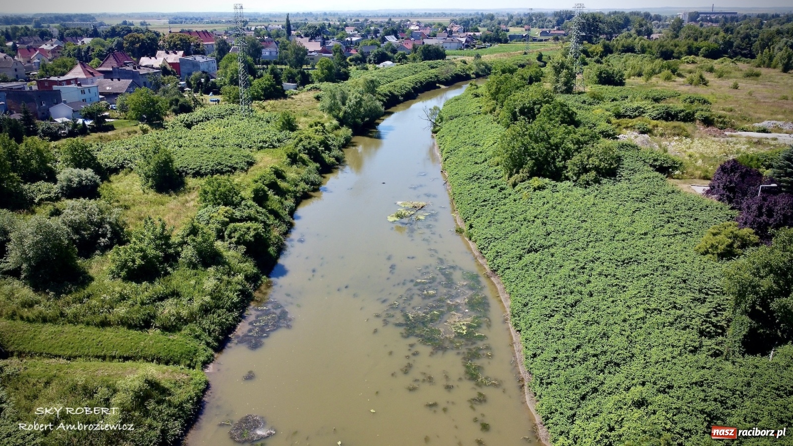 Zdjęcie w galerii na portalu naszraciborz.pl: Dlaczego w starej Odrze jest mało wody. To wideo pokazuje w czym problem wiadomości z regionu