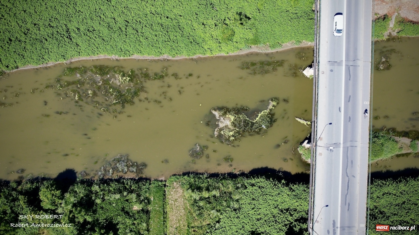 Zdjęcie w galerii na portalu naszraciborz.pl: Dlaczego w starej Odrze jest mało wody. To wideo pokazuje w czym problem wiadomości z regionu