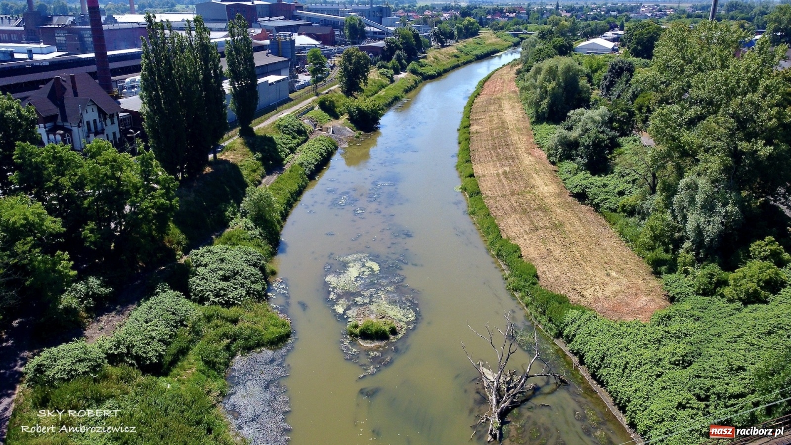 Zdjęcie w galerii na portalu naszraciborz.pl: Dlaczego w starej Odrze jest mało wody. To wideo pokazuje w czym problem wiadomości z regionu