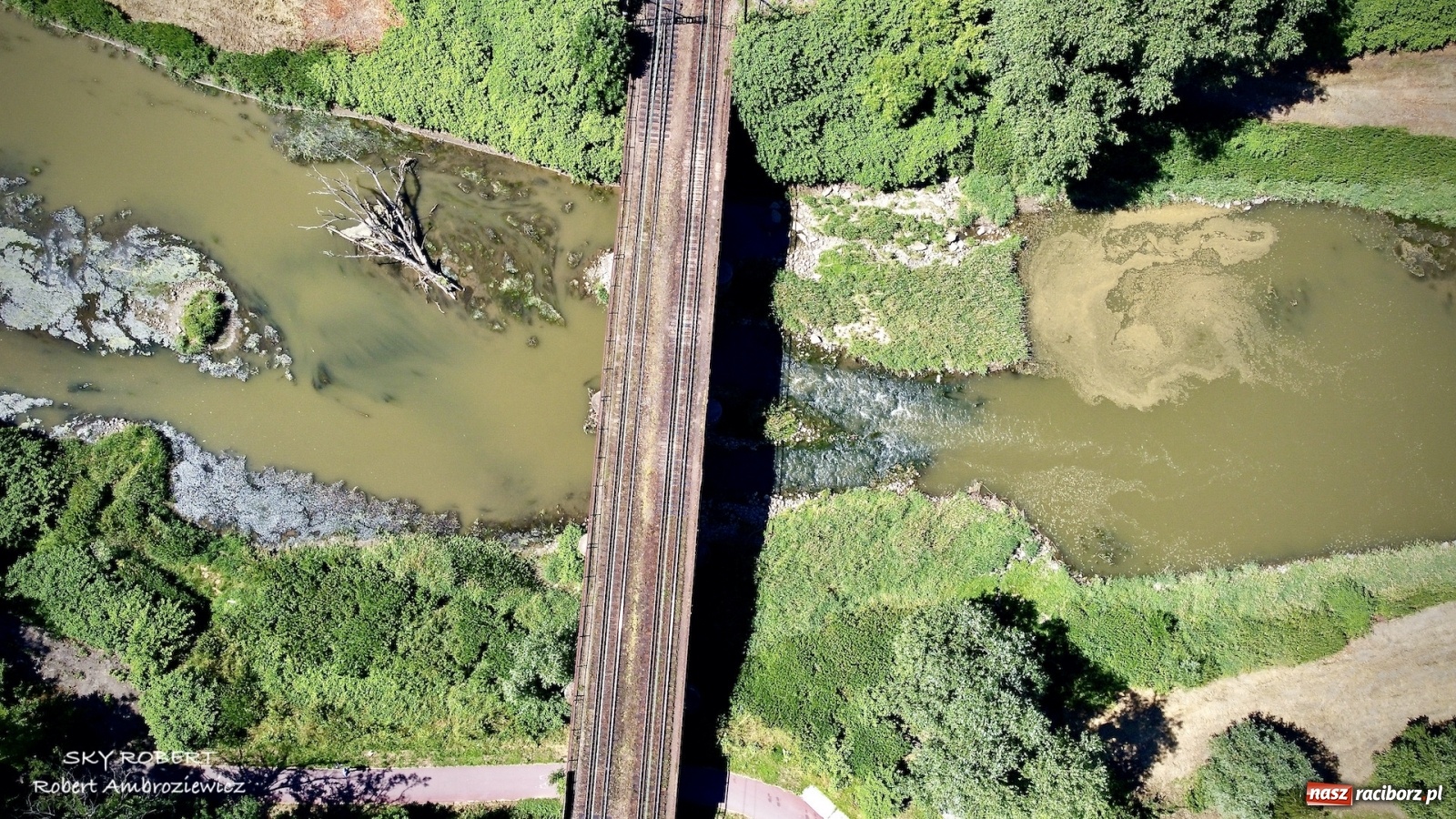 Zdjęcie w galerii na portalu naszraciborz.pl: Dlaczego w starej Odrze jest mało wody. To wideo pokazuje w czym problem wiadomości z regionu