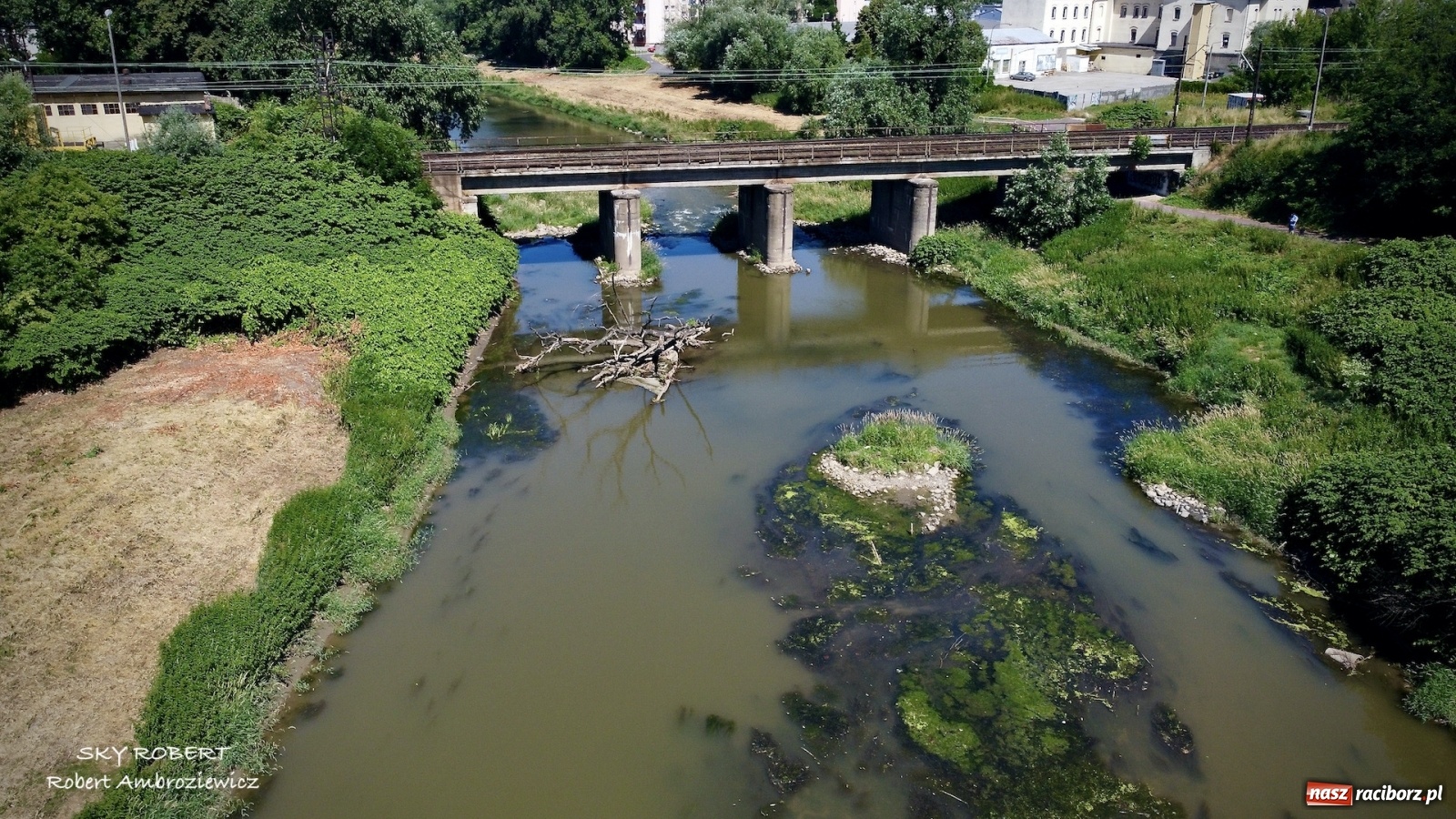 Zdjęcie w galerii na portalu naszraciborz.pl: Dlaczego w starej Odrze jest mało wody. To wideo pokazuje w czym problem wiadomości z regionu