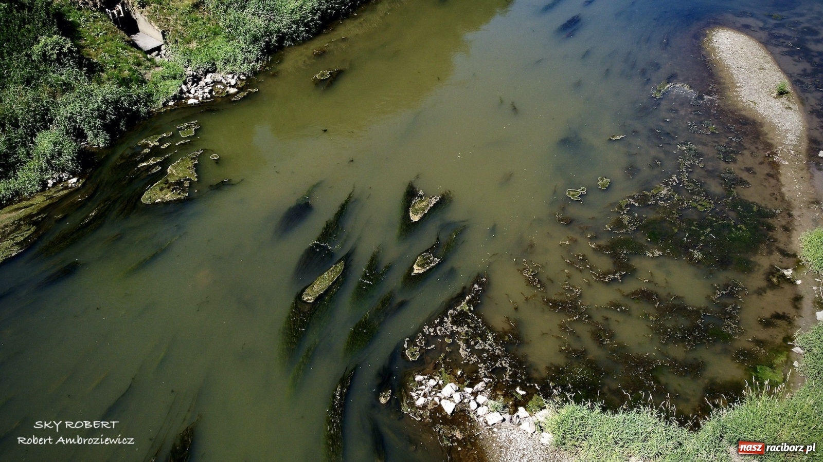Zdjęcie w galerii na portalu naszraciborz.pl: Dlaczego w starej Odrze jest mało wody. To wideo pokazuje w czym problem wiadomości z regionu