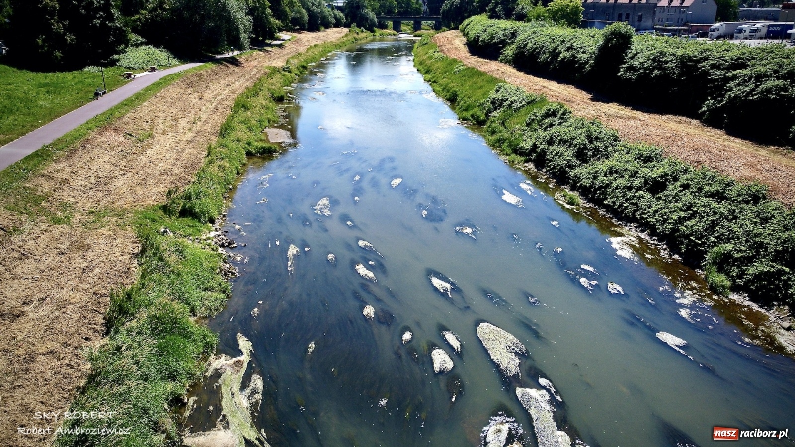 Zdjęcie w galerii na portalu naszraciborz.pl: Dlaczego w starej Odrze jest mało wody. To wideo pokazuje w czym problem wiadomości z regionu