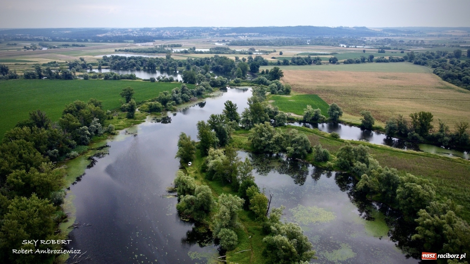 Zdjęcie w galerii na portalu naszraciborz.pl: Dlaczego w starej Odrze jest mało wody. To wideo pokazuje w czym problem wiadomości z regionu