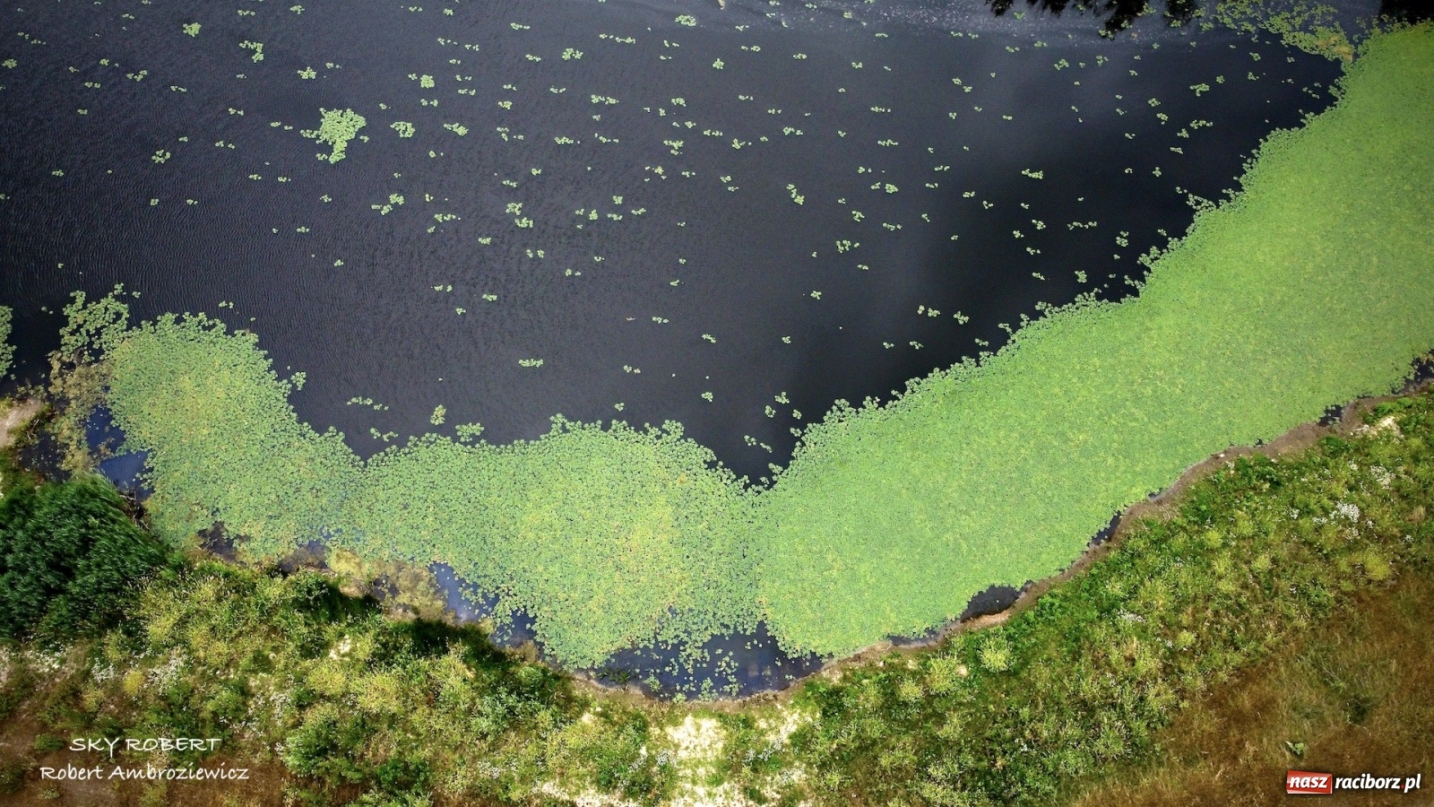 Zdjęcie w galerii na portalu naszraciborz.pl: Dlaczego w starej Odrze jest mało wody. To wideo pokazuje w czym problem wiadomości z regionu