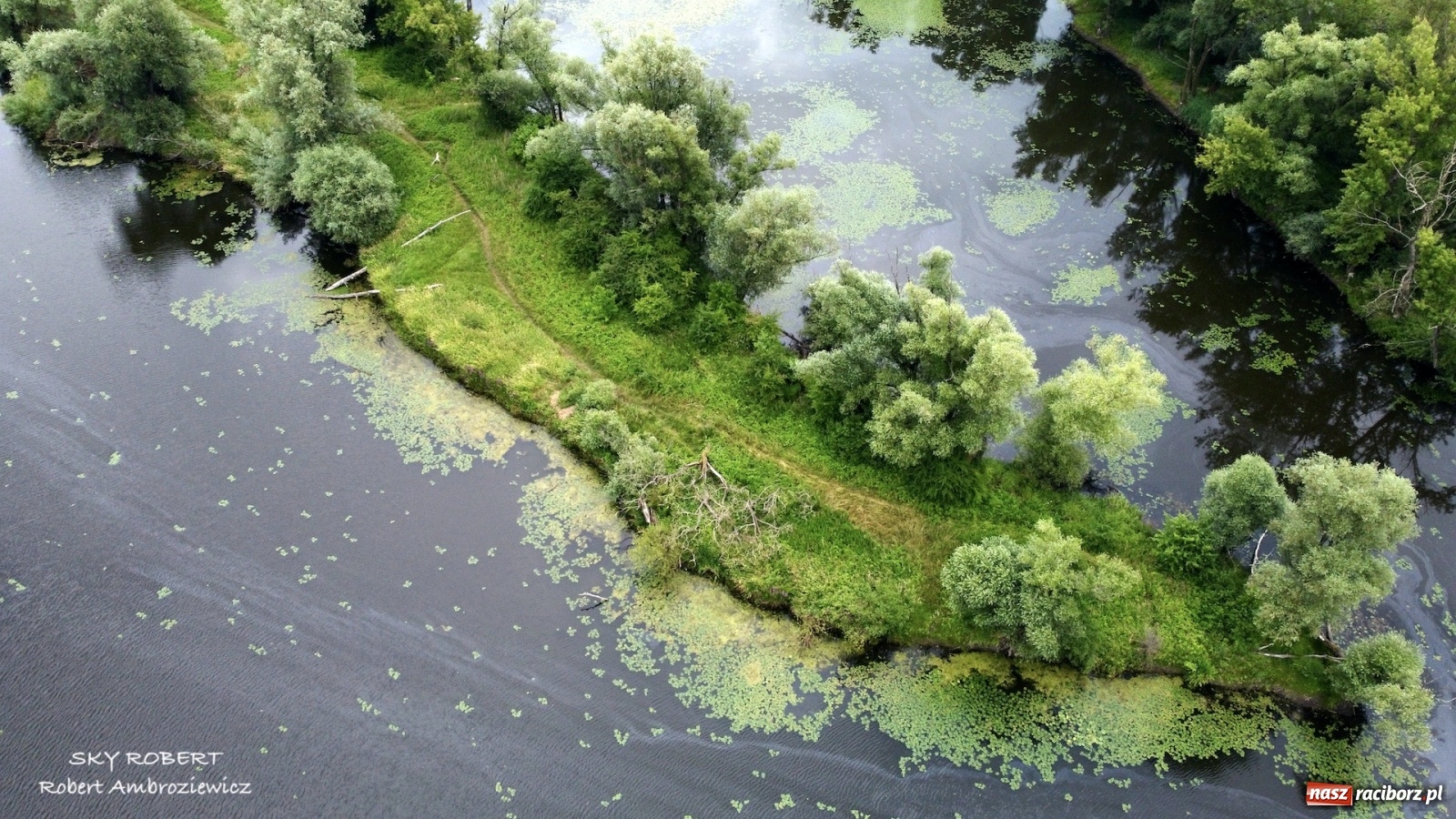 Zdjęcie w galerii na portalu naszraciborz.pl: Dlaczego w starej Odrze jest mało wody. To wideo pokazuje w czym problem wiadomości z regionu