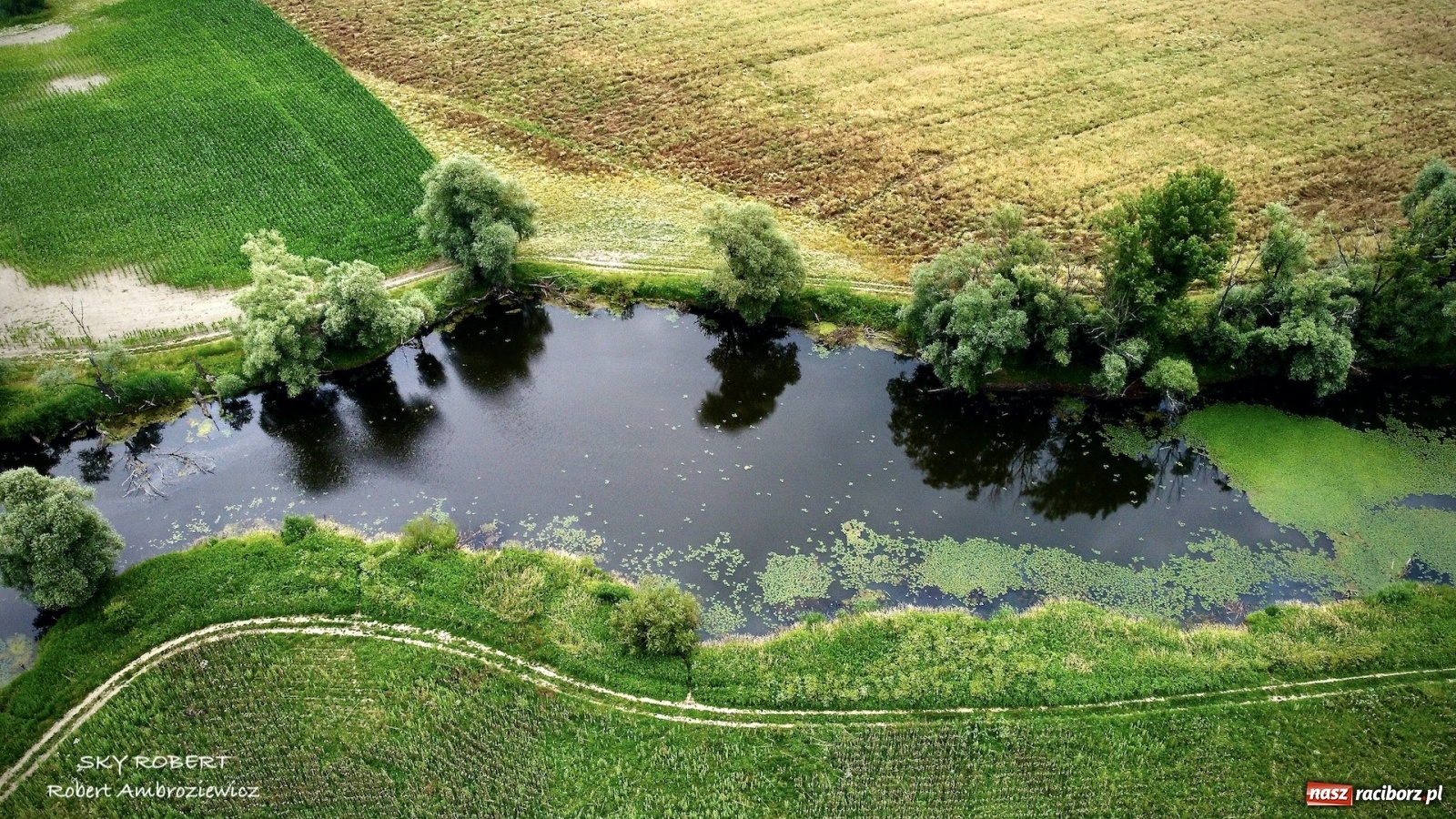 Zdjęcie w galerii na portalu naszraciborz.pl: Dlaczego w starej Odrze jest mało wody. To wideo pokazuje w czym problem wiadomości z regionu