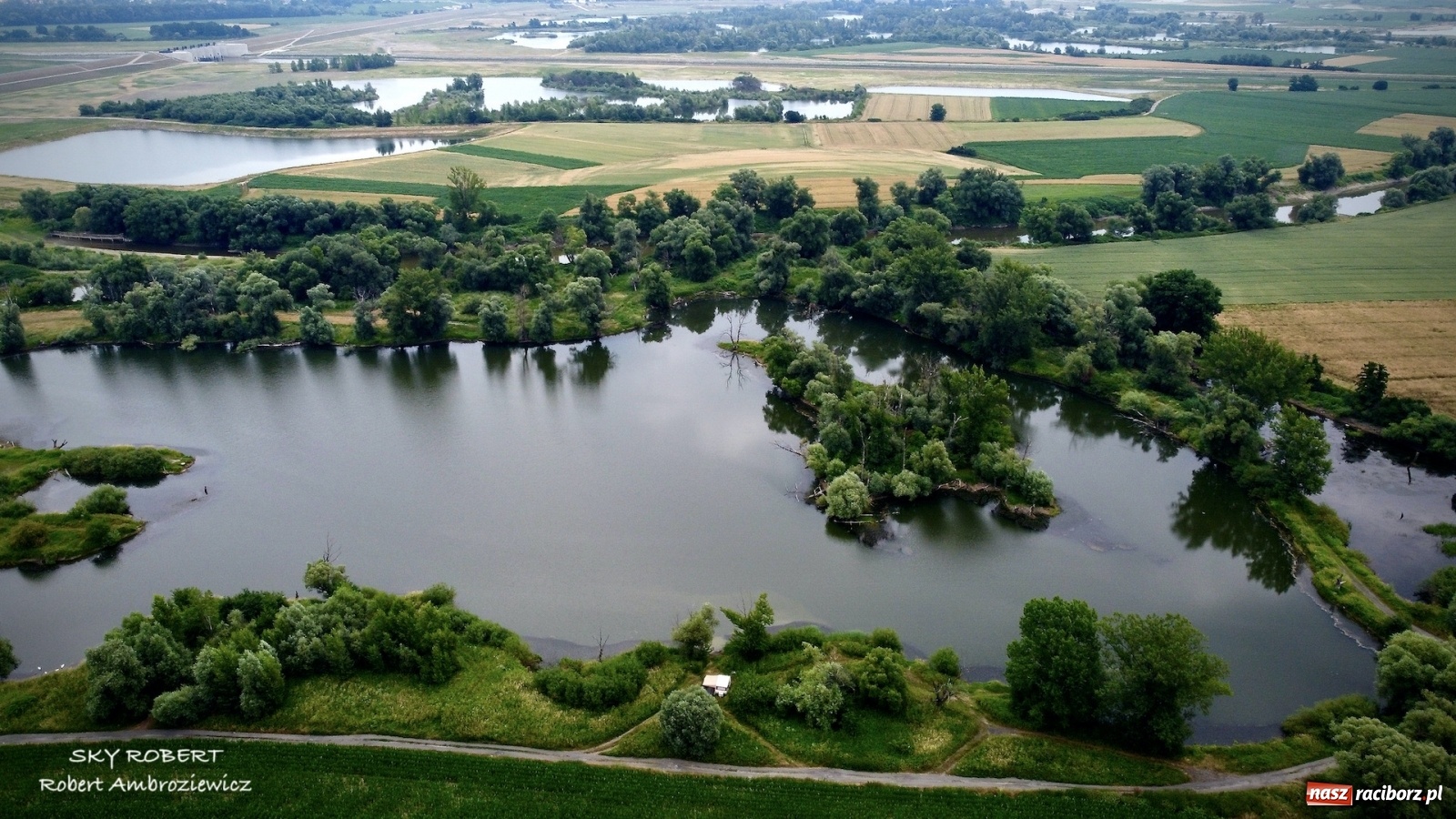 Zdjęcie w galerii na portalu naszraciborz.pl: Dlaczego w starej Odrze jest mało wody. To wideo pokazuje w czym problem wiadomości z regionu