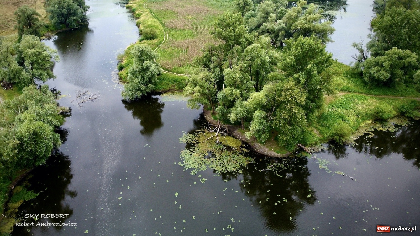 Zdjęcie w galerii na portalu naszraciborz.pl: Dlaczego w starej Odrze jest mało wody. To wideo pokazuje w czym problem wiadomości z regionu