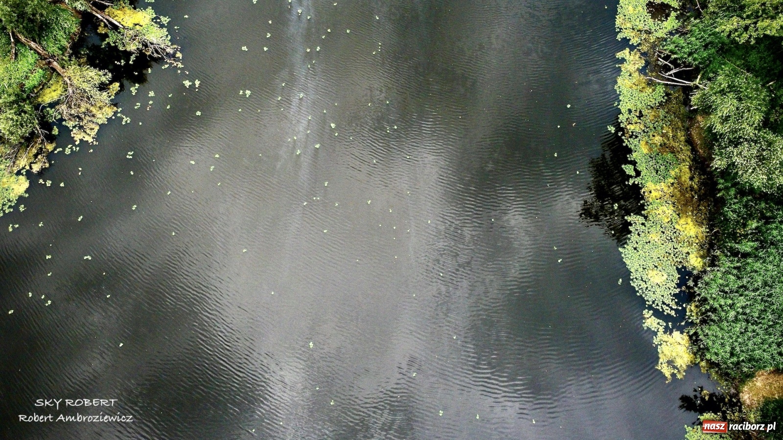 Zdjęcie w galerii na portalu naszraciborz.pl: Dlaczego w starej Odrze jest mało wody. To wideo pokazuje w czym problem wiadomości z regionu