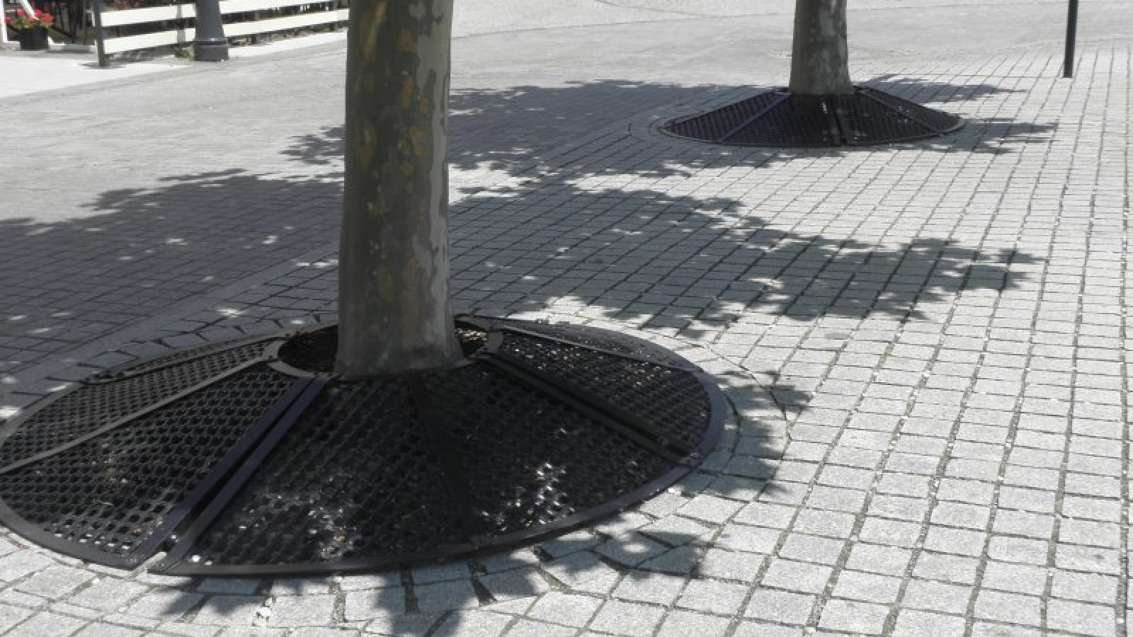 Zdjęcie w galerii na portalu naszraciborz.pl: Pszczyna dobrym wzorem dla Raciborza wiadomości z regionu