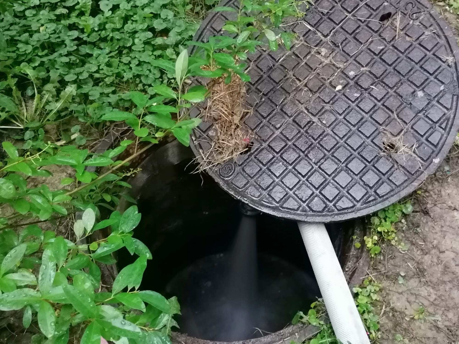 Zdjęcie w galerii na portalu naszraciborz.pl: Nawałnica nad powiatem. Ponad sto strażackich interwencji wiadomości z regionu