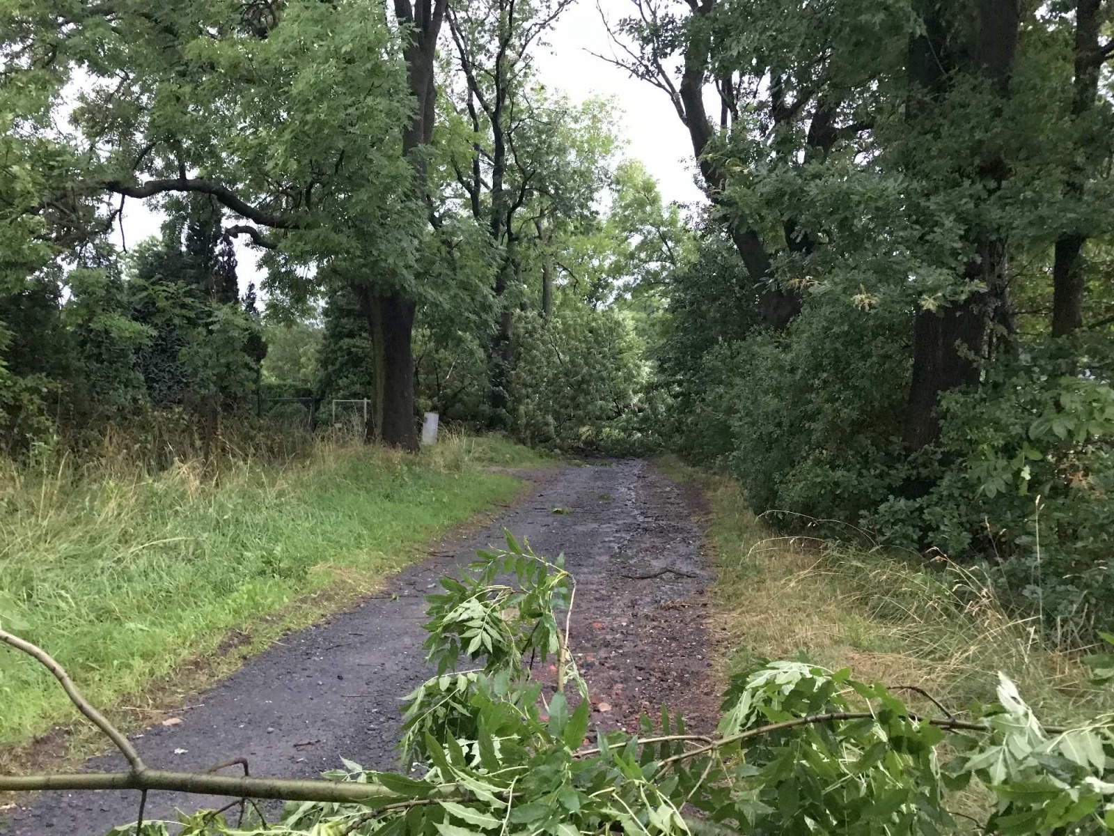 Zdjęcie w galerii na portalu naszraciborz.pl: Nawałnica nad powiatem. Ponad sto strażackich interwencji wiadomości z regionu