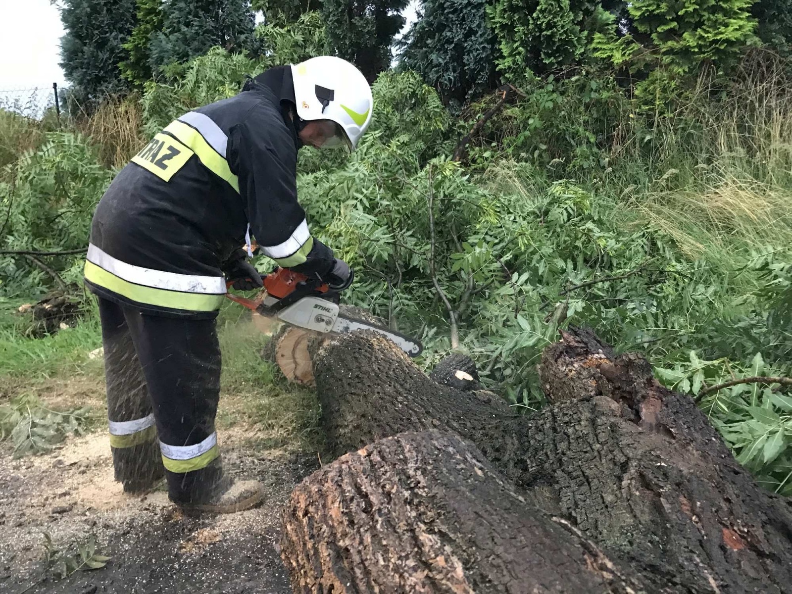 Zdjęcie w galerii na portalu naszraciborz.pl: Nawałnica nad powiatem. Ponad sto strażackich interwencji wiadomości z regionu
