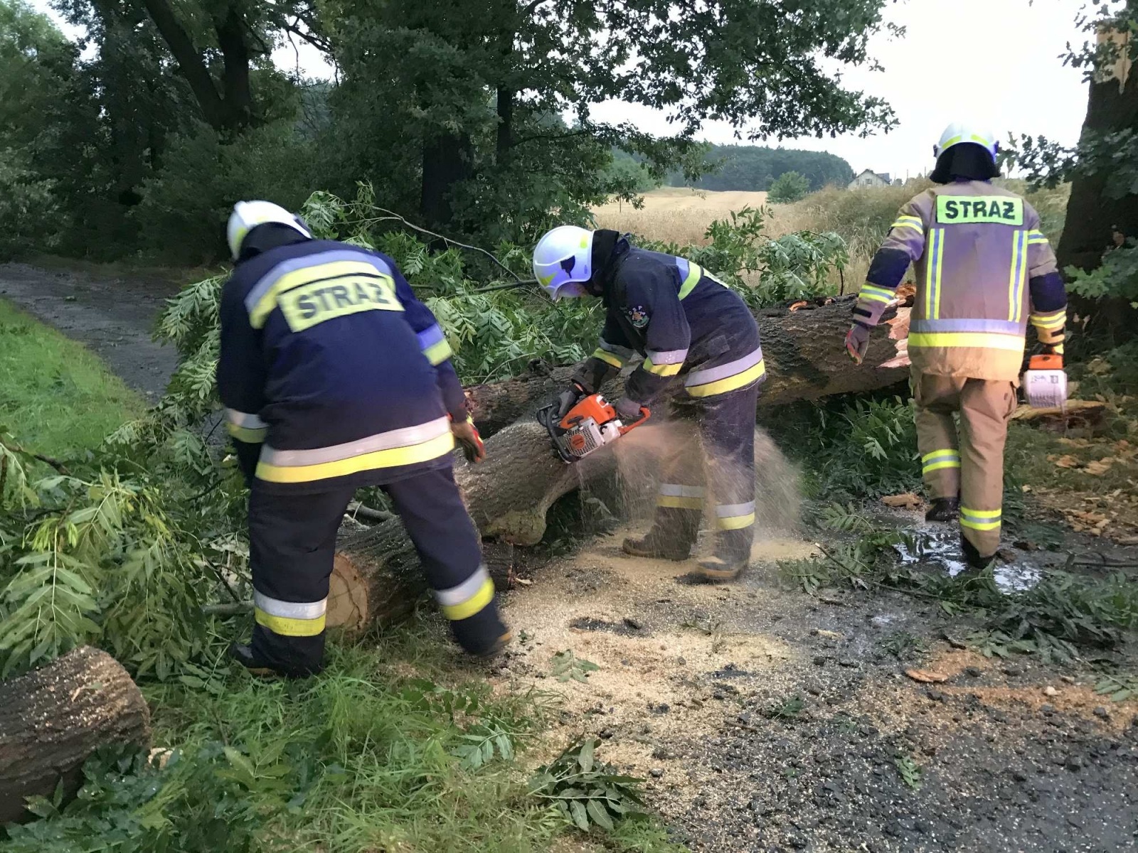 Zdjęcie w galerii na portalu naszraciborz.pl: Nawałnica nad powiatem. Ponad sto strażackich interwencji wiadomości z regionu