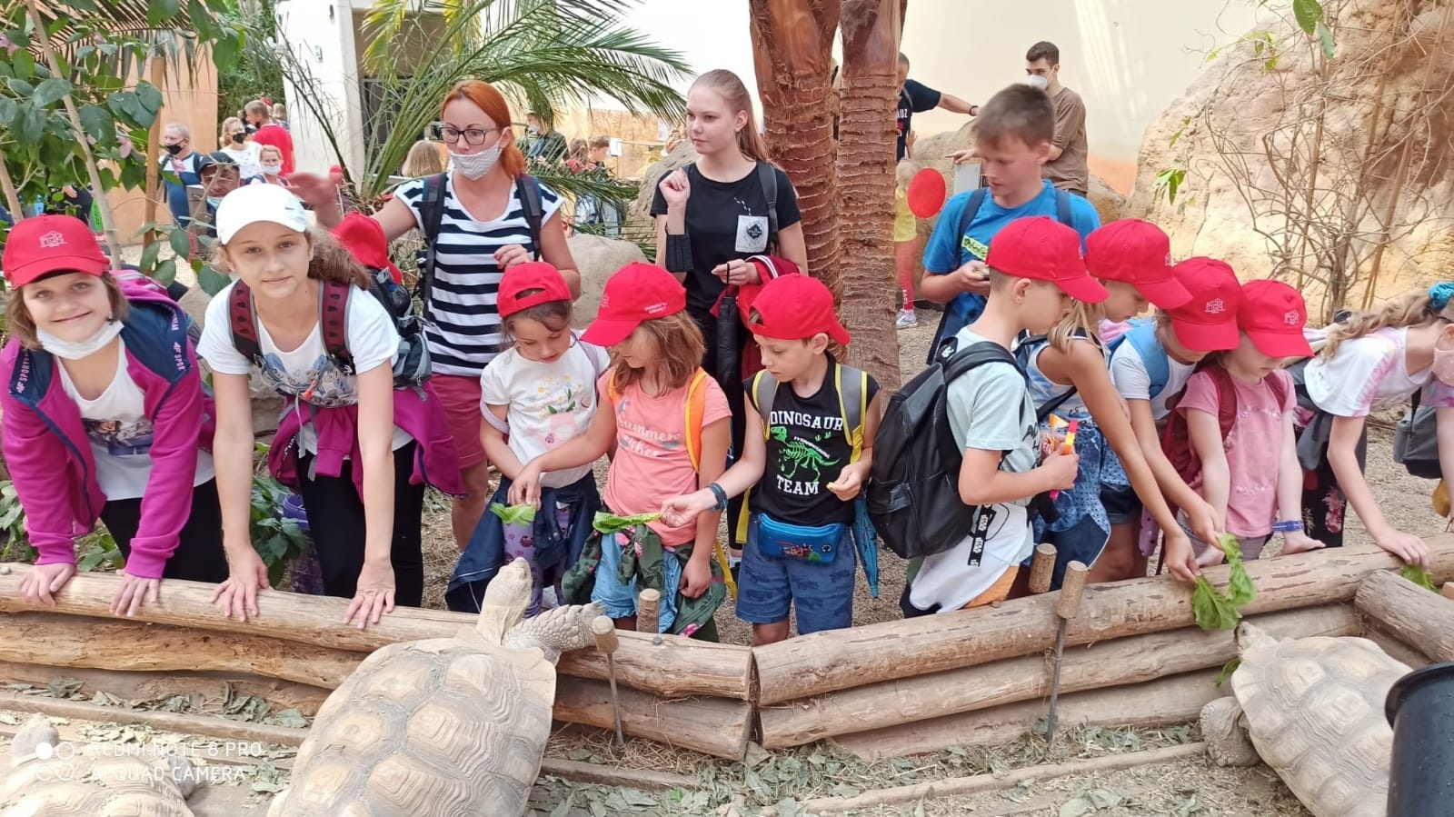 Zdjęcie w galerii na portalu naszraciborz.pl: Akcja Lato w mieście - pierwsze podsumowanie wiadomości z regionu