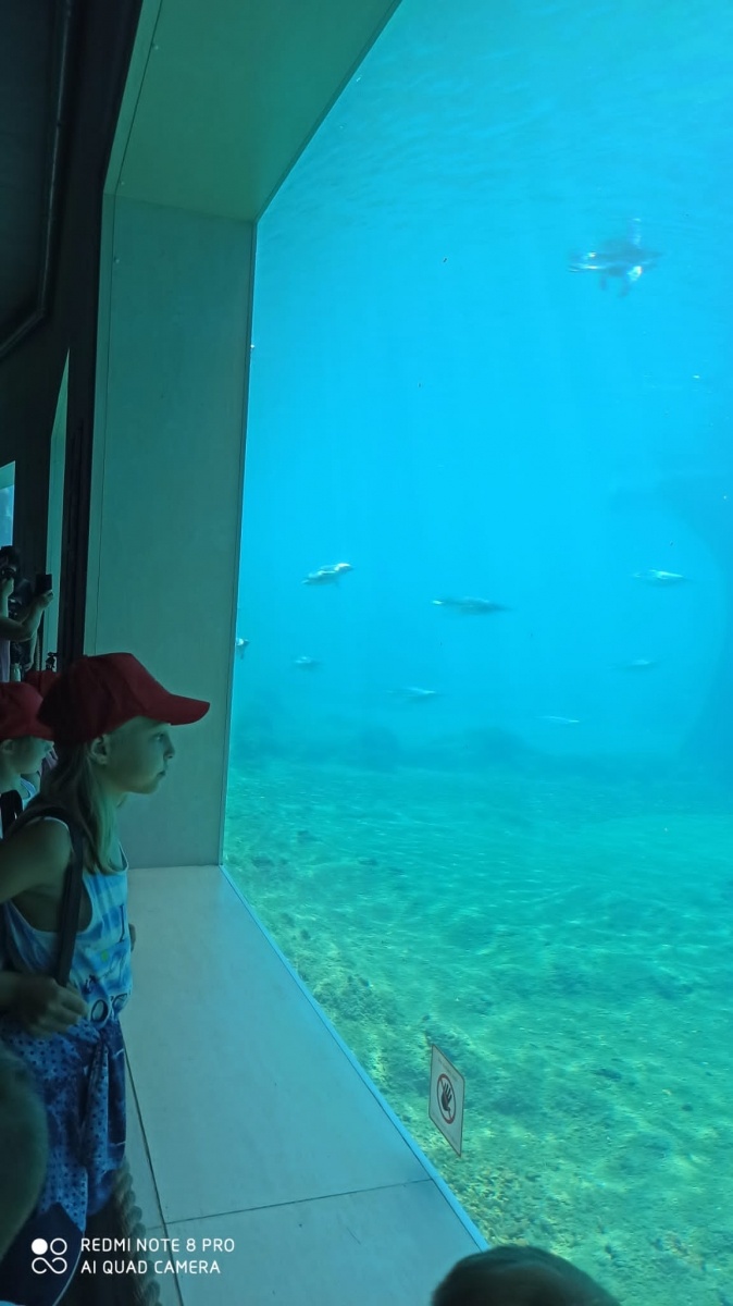 Zdjęcie w galerii na portalu naszraciborz.pl: Akcja Lato w mieście - pierwsze podsumowanie wiadomości z regionu