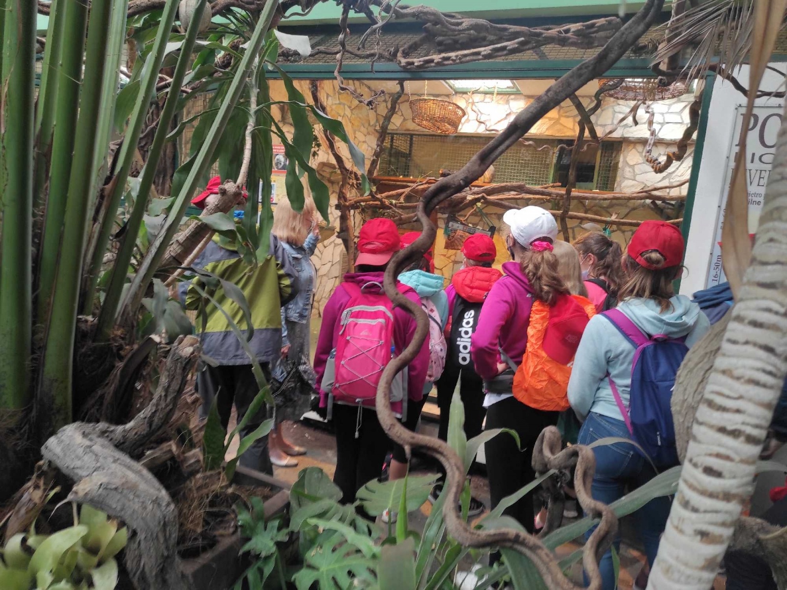 Zdjęcie w galerii na portalu naszraciborz.pl: Akcja Lato w mieście - pierwsze podsumowanie wiadomości z regionu