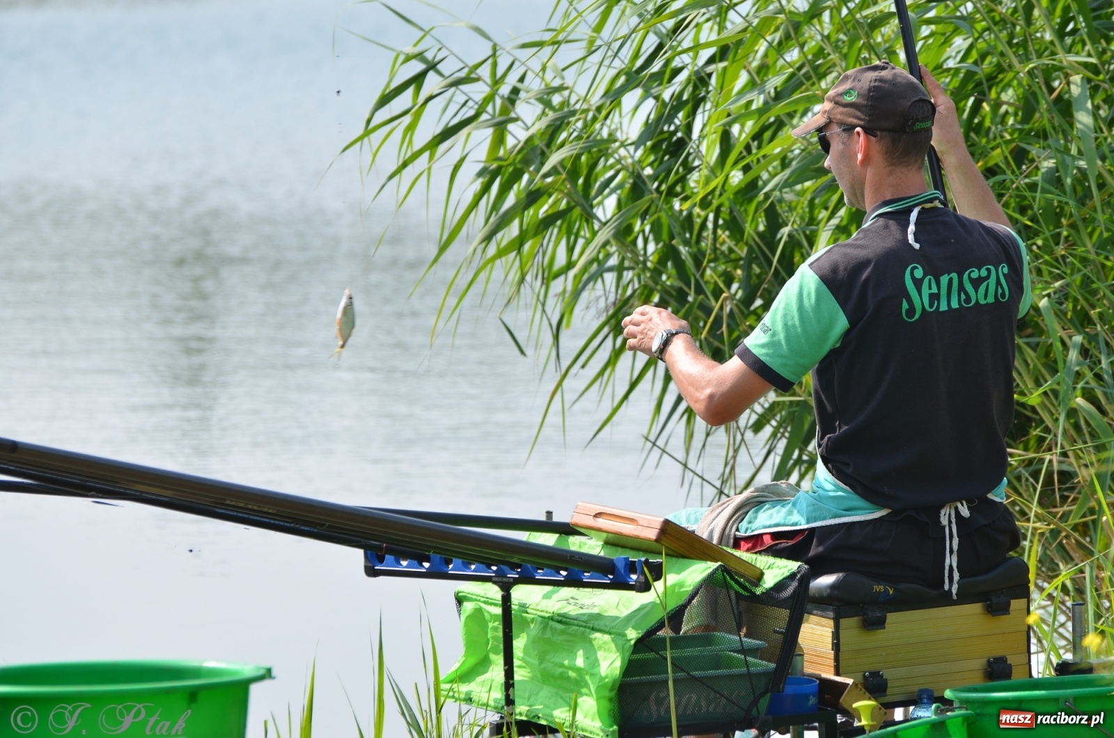Zdjęcie w galerii na portalu naszraciborz.pl: Wędkarstwo. Eugeniusz Kajstura z trofeum Starosty [FOTO] wiadomości z regionu