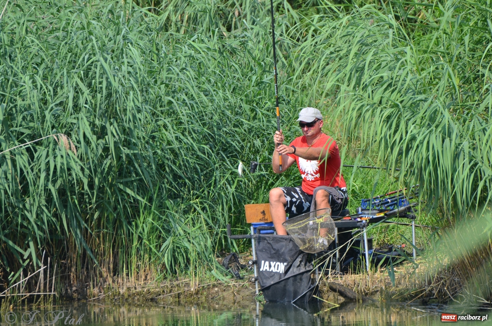 Zdjęcie w galerii na portalu naszraciborz.pl: Wędkarstwo. Eugeniusz Kajstura z trofeum Starosty [FOTO] wiadomości z regionu